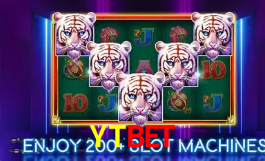 Security Systems YTBET